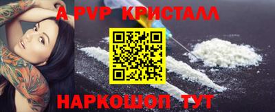 кокс Кингисепп