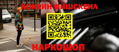 кокс Кингисепп
