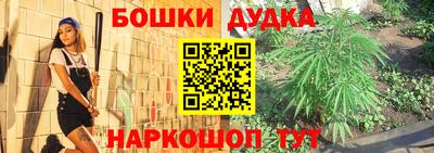 кокс Кингисепп
