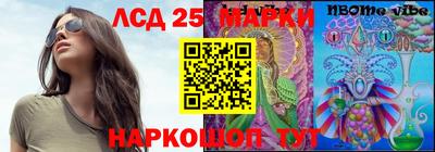 кокс Кингисепп