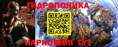шишки Кинель