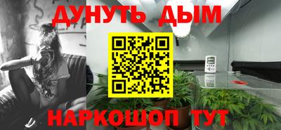шишки Кинель