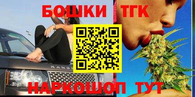 шишки Кинель