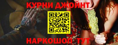 кокс Кингисепп