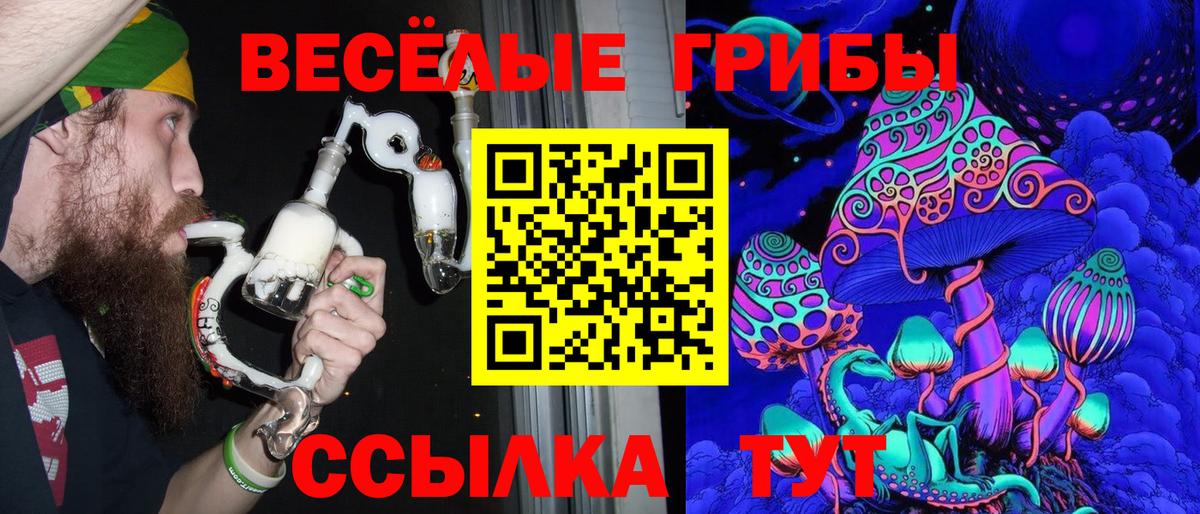 Псилоцибиновые грибы Magic Shrooms  Вход с VPN  Галлюциногенные грибы прущие грибы  Буйнакск 